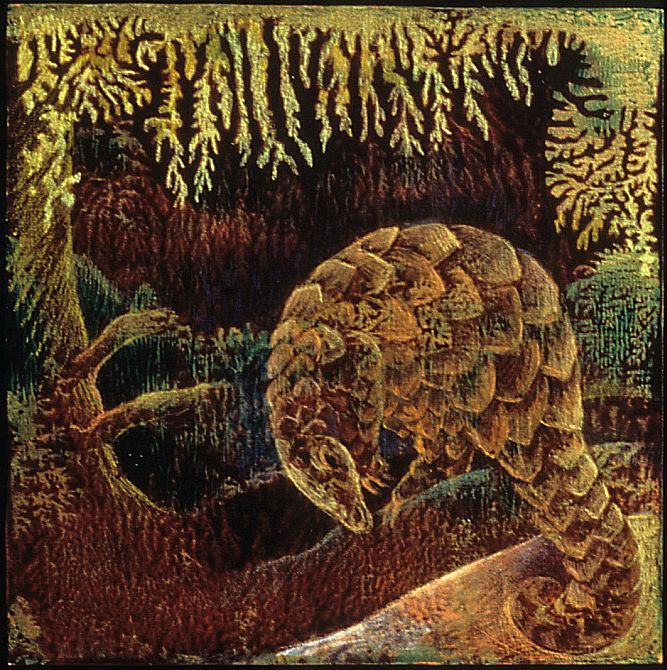 Acrylic painting, 'Pangolin Dream', by Jenny Badger Sultan.